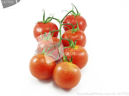 Image of Tomatoes