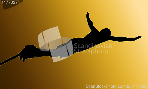 Image of Golden Back Male Bungee Jumper