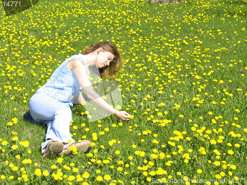 Image of Girl on dandelion lawn