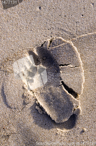 Image of Bare feet imprint on wet beach sand.