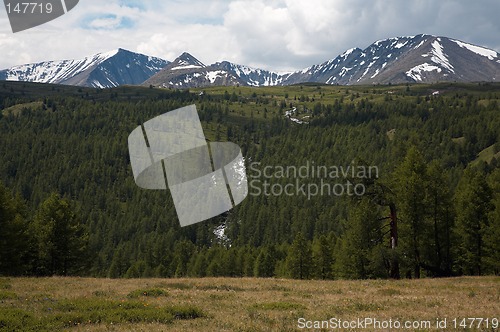 Image of Mountain river