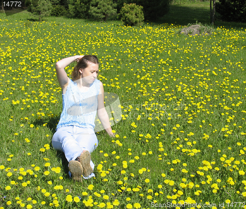 Image of Girl on dandelion lawn