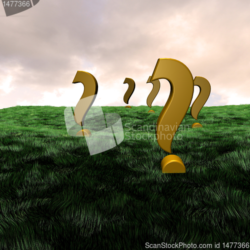 Image of 3d question mark meadow