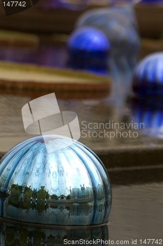 Image of pond with blue glass piece