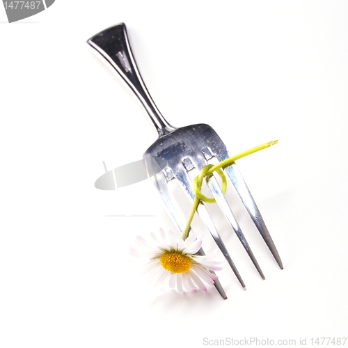 Image of flower and fork