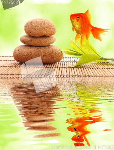 Image of zen or spa