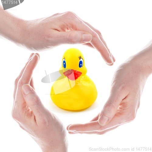 Image of rubber duck