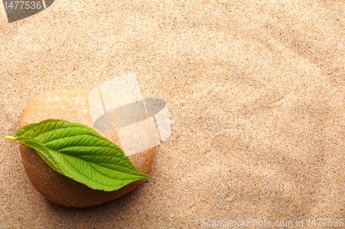 Image of zen stone with leaf