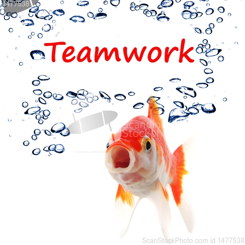 Image of teamwork