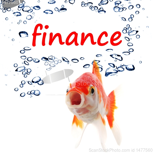 Image of finance