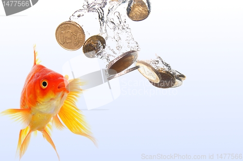 Image of goldfish and money