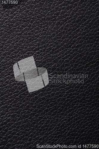 Image of leather texture
