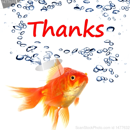 Image of thanks