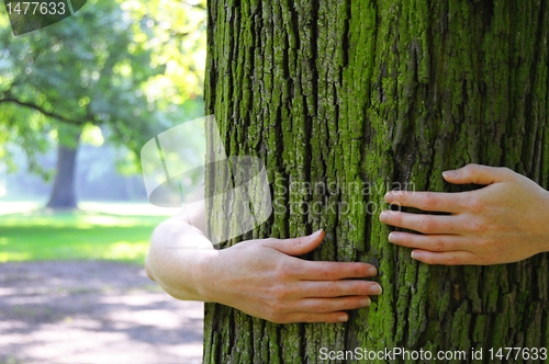 Image of nature