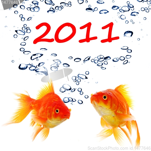 Image of new year 2011