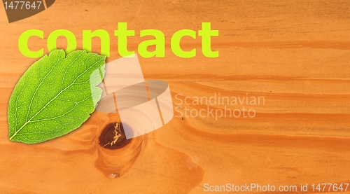 Image of contact