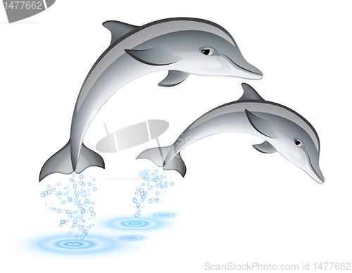 Image of Jumping dolphins