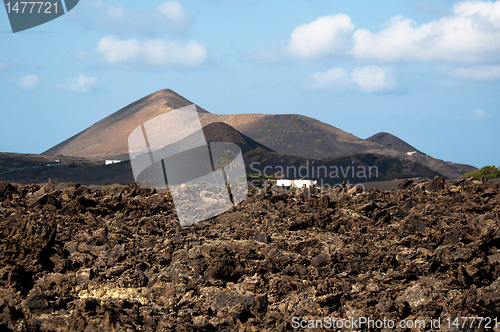 Image of Lanzarote Scenery