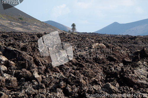 Image of Lanzarote Soil