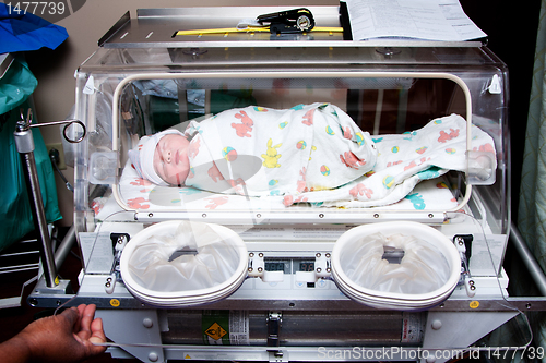 Image of Cute sick baby in incubator