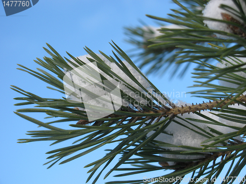 Image of snow