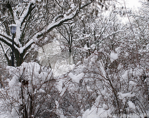 Image of park at winter  