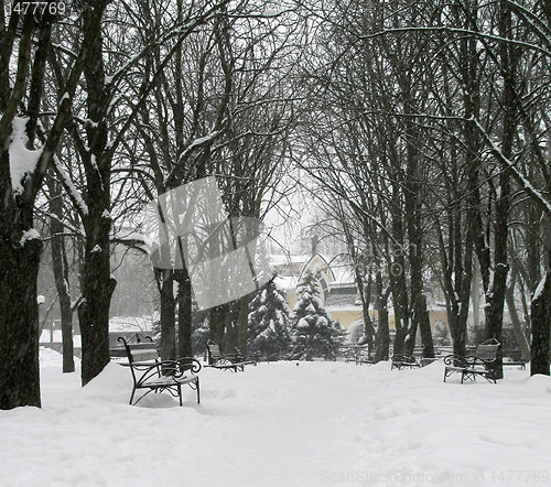 Image of park at winter