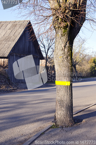 Image of Reflector on tree near road for safety driving.