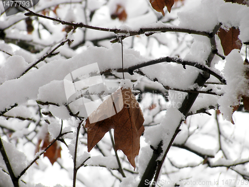 Image of snow