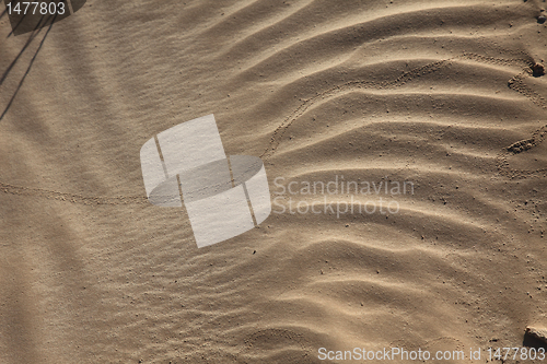 Image of Wind textures on sand in Sahara