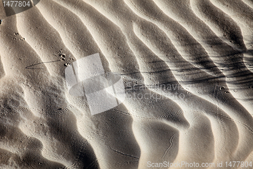 Image of Wind textures on sand in Sahara