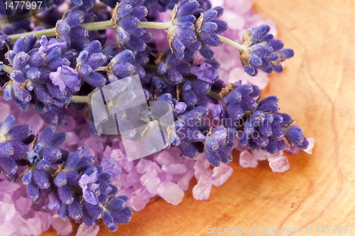 Image of Lavender flowers and the bath salt - beauty treatment 