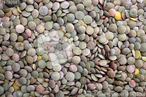 Image of Green Lentils