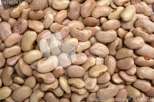 Image of Brown beans