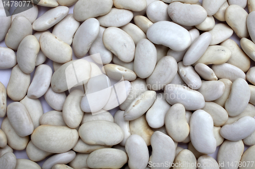 Image of White beans