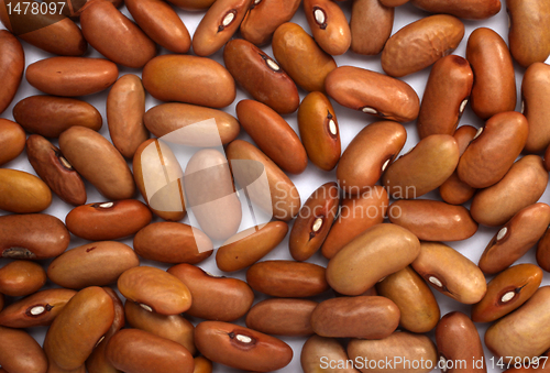 Image of Brown beans