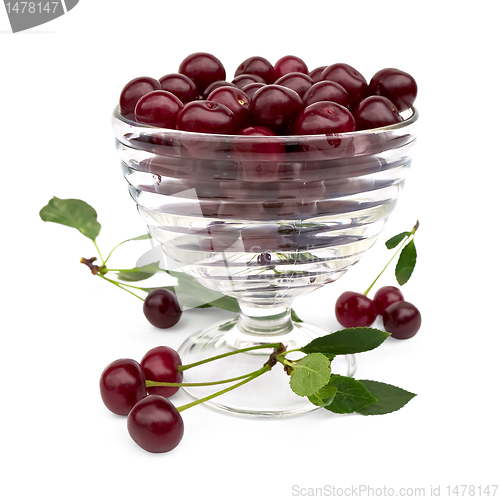 Image of Cherry in a glass bowl