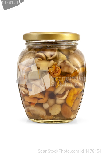 Image of Mushrooms marinated