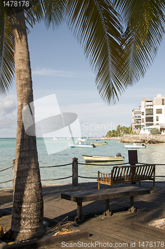 Image of park benches harbor St. Lawrence Gap Barbados