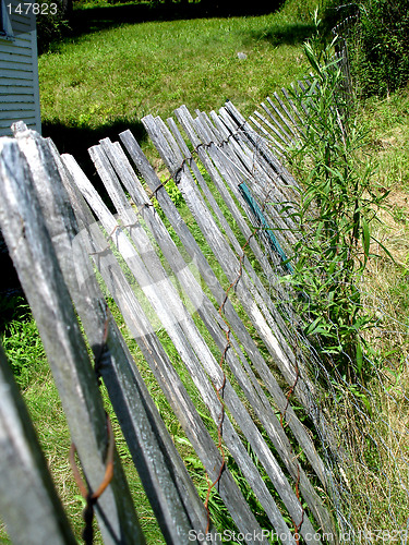 Image of fence 3