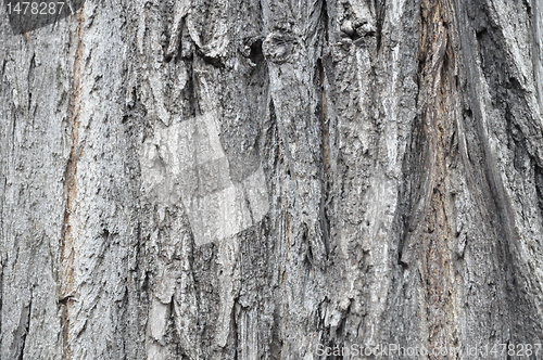 Image of wood texture