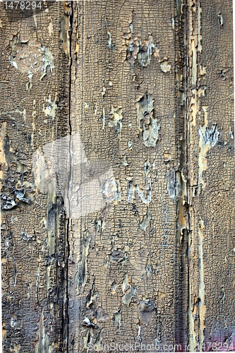Image of old grunge door texture