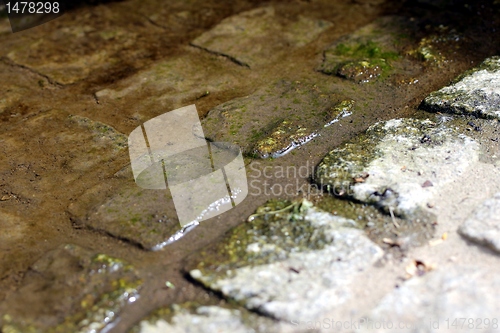 Image of brick street texture
