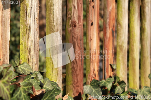 Image of wooden fence texture