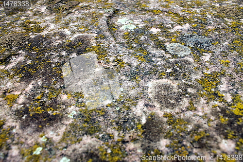 Image of rock texture