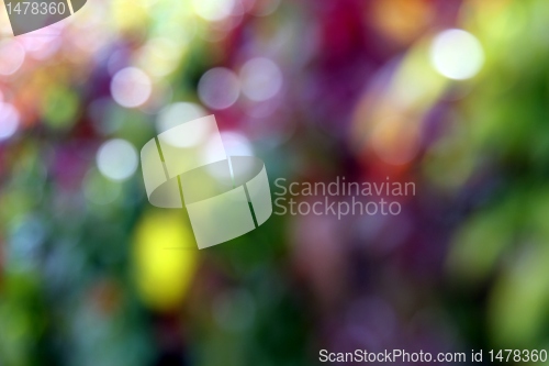 Image of autumn color blur