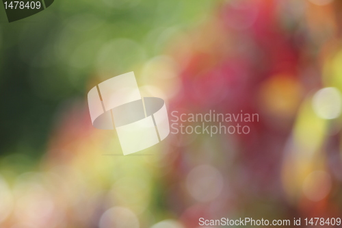 Image of autumn color blur