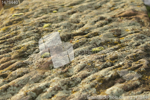Image of rock texture