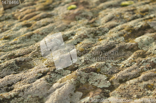 Image of rock texture