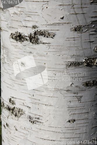 Image of wood texture